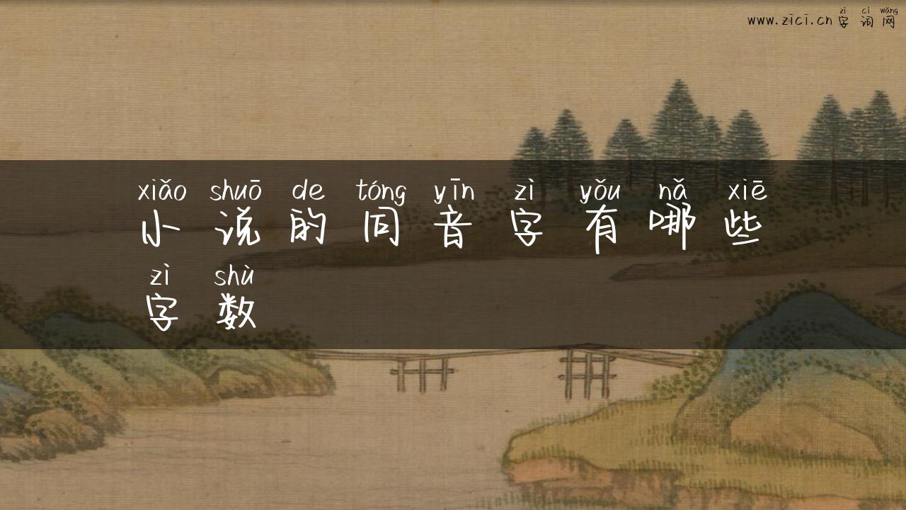 小说的同音字有哪些字数