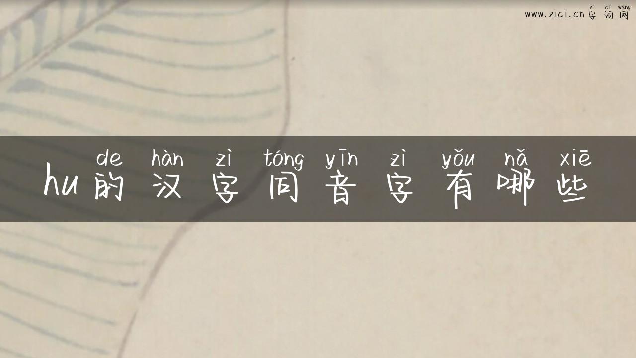 hu的汉字同音字有哪些