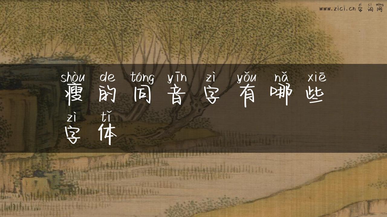 瘦的同音字有哪些字体
