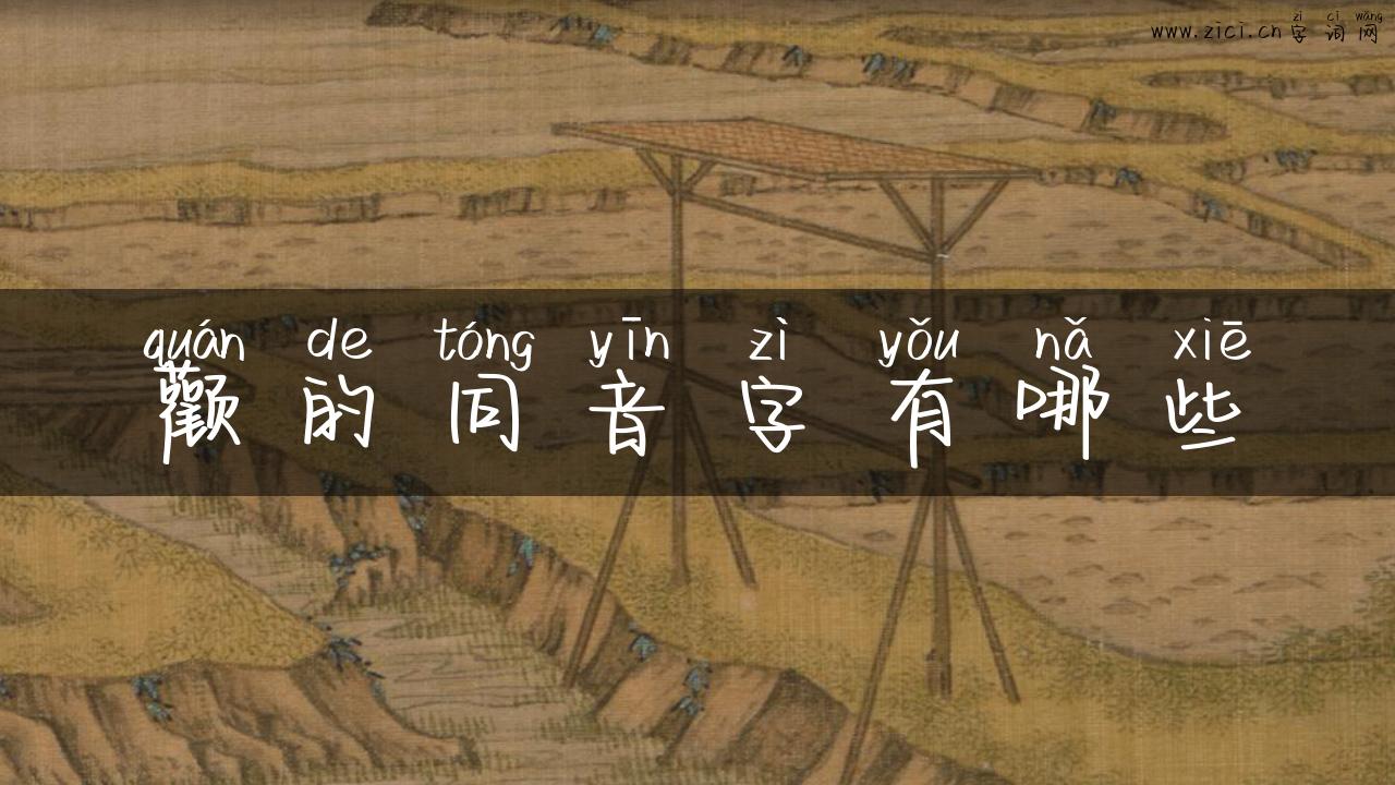 颧的同音字有哪些