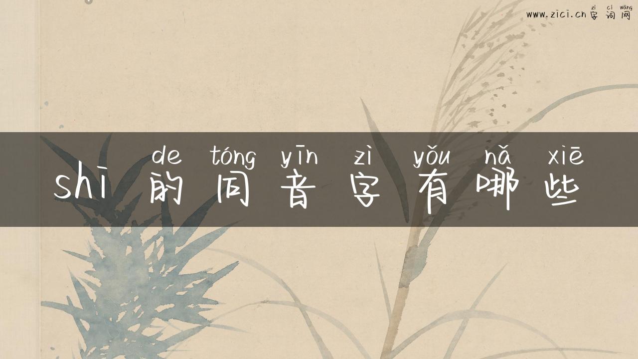 shi 的同音字有哪些