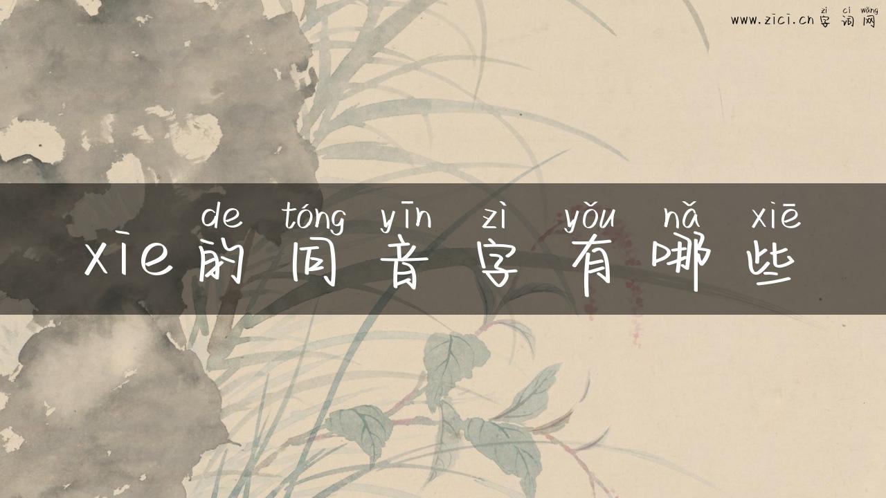 xie的同音字有哪些