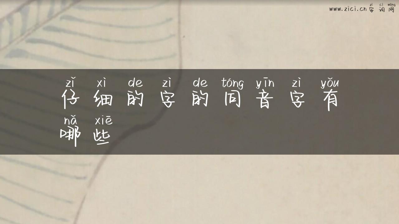 仔细的字的同音字有哪些