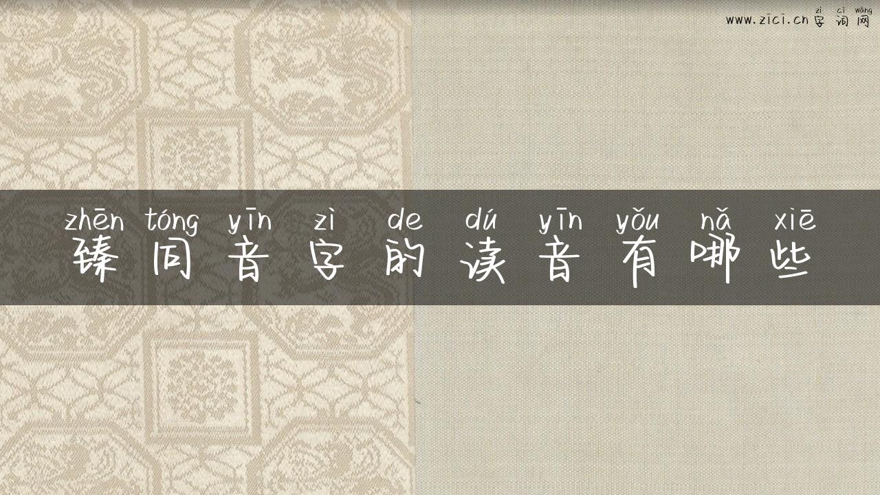 臻同音字的读音有哪些