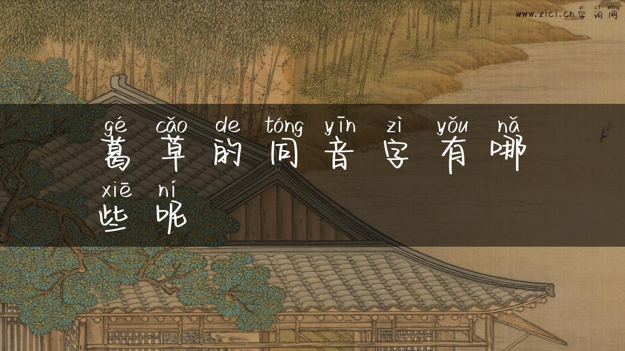 葛草的同音字有哪些呢