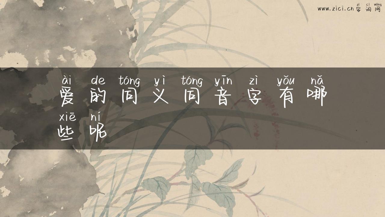 爱的同义同音字有哪些呢