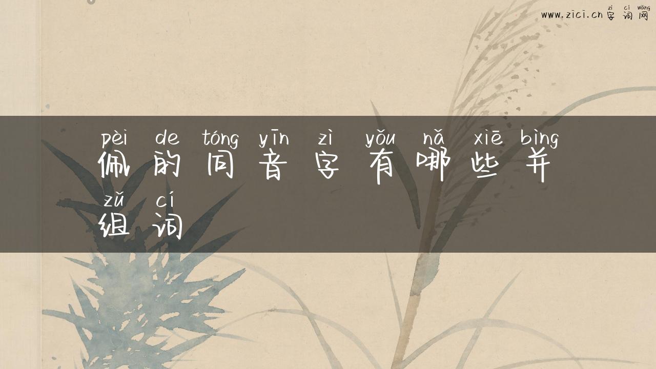 佩的同音字有哪些并组词