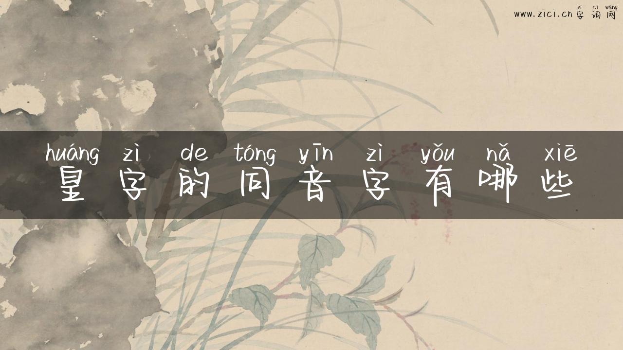 皇字的同音字有哪些
