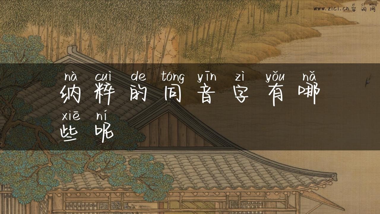 纳粹的同音字有哪些呢