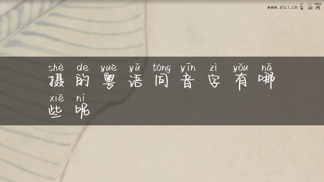 摄的粤语同音字有哪些呢