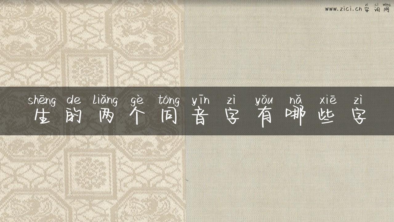 生的两个同音字有哪些字