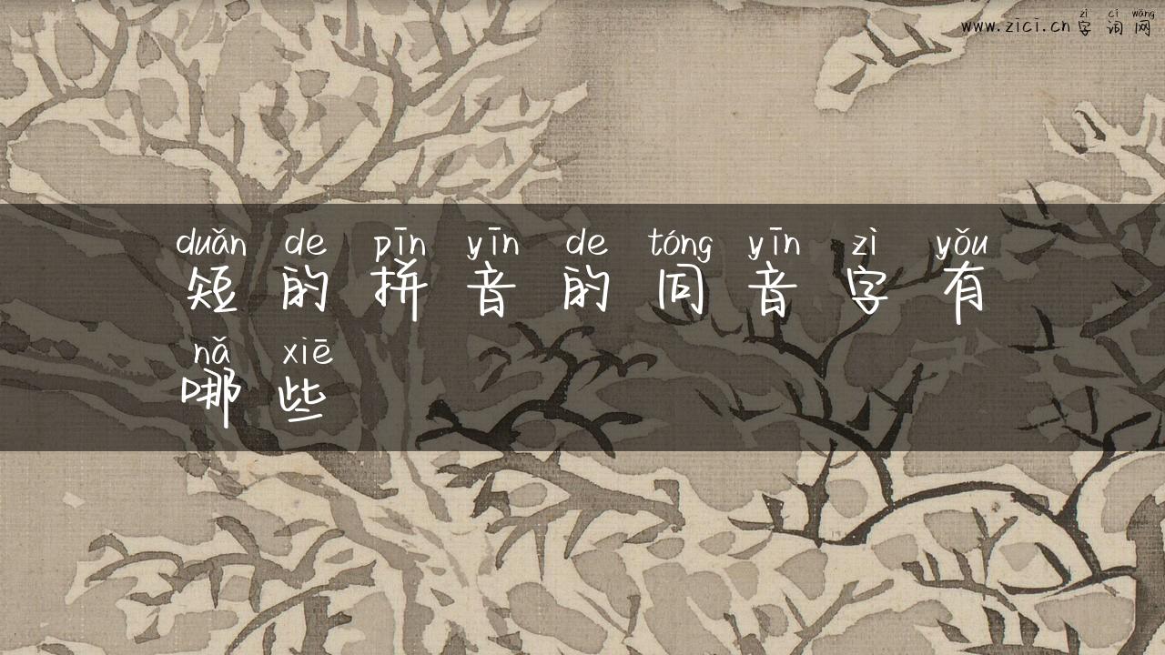 短的拼音的同音字有哪些