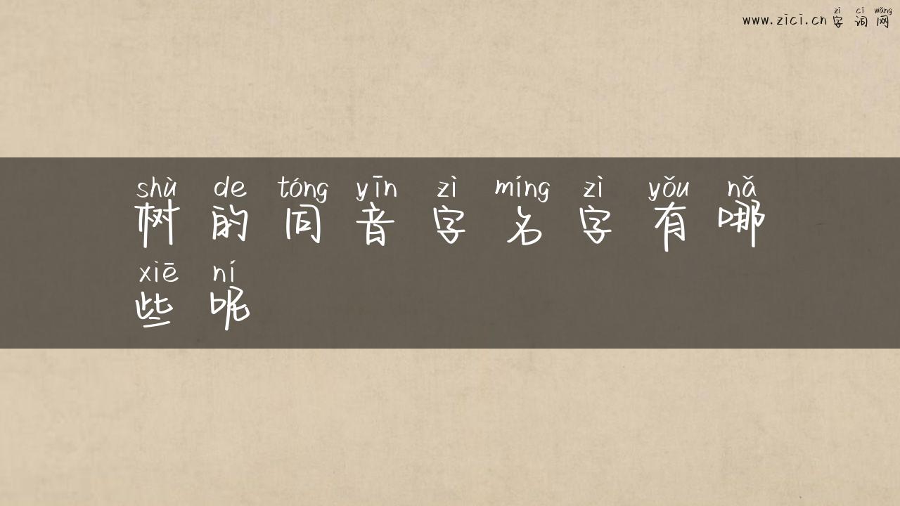 树的同音字名字有哪些呢