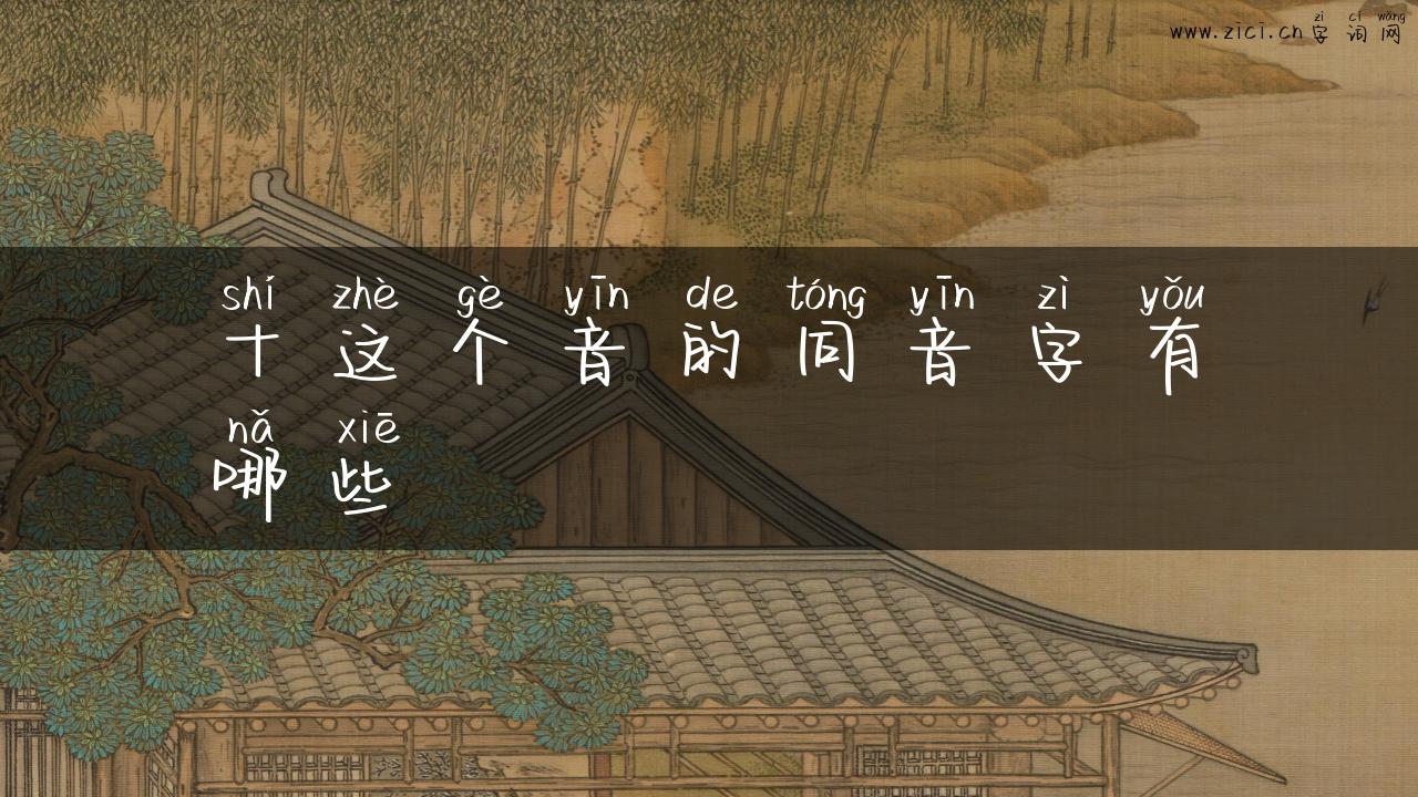 十这个音的同音字有哪些