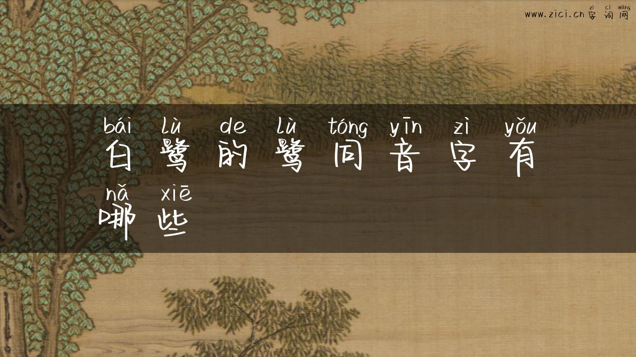 白鹭的鹭同音字有哪些