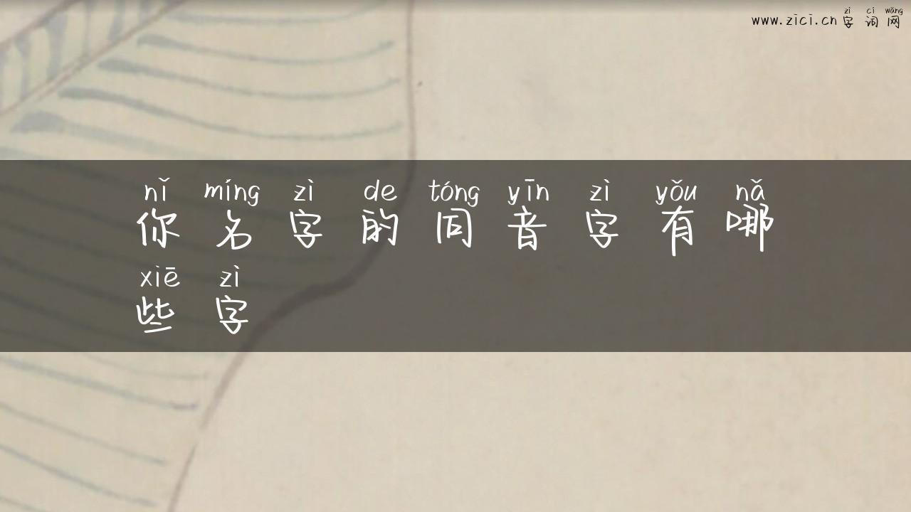 你名字的同音字有哪些字