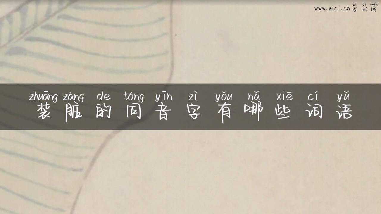 装脏的同音字有哪些词语