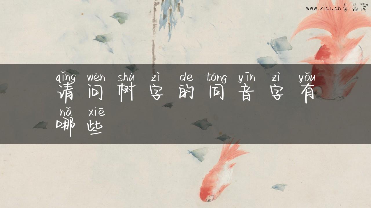 请问树字的同音字有哪些