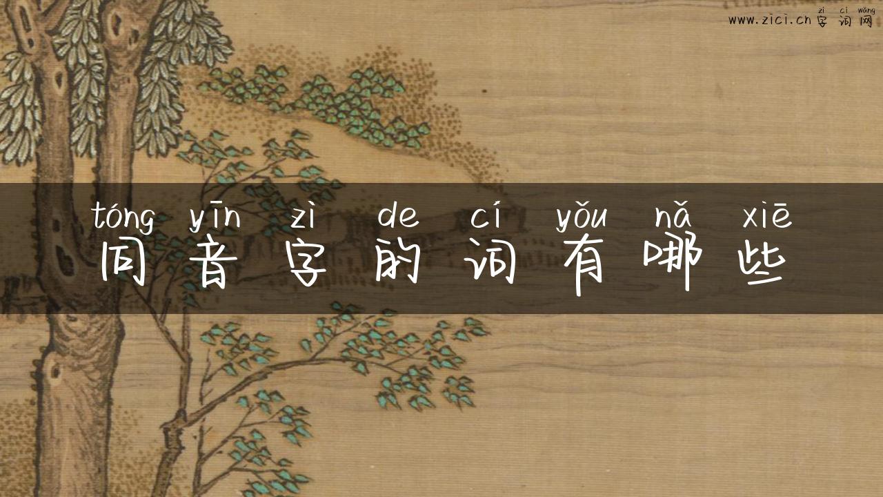 同音字的词有哪些