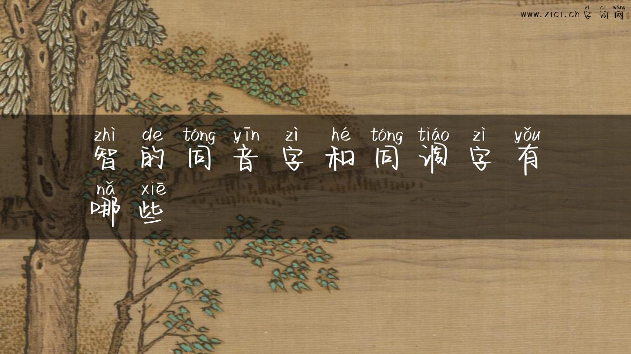 智的同音字和同调字有哪些