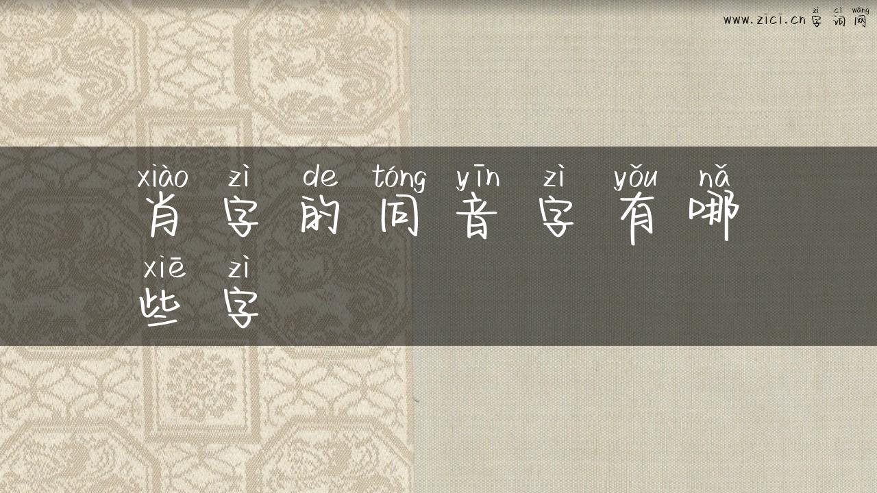 肖字的同音字有哪些字