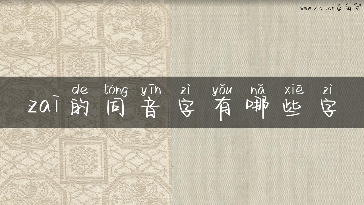 zai的同音字有哪些字