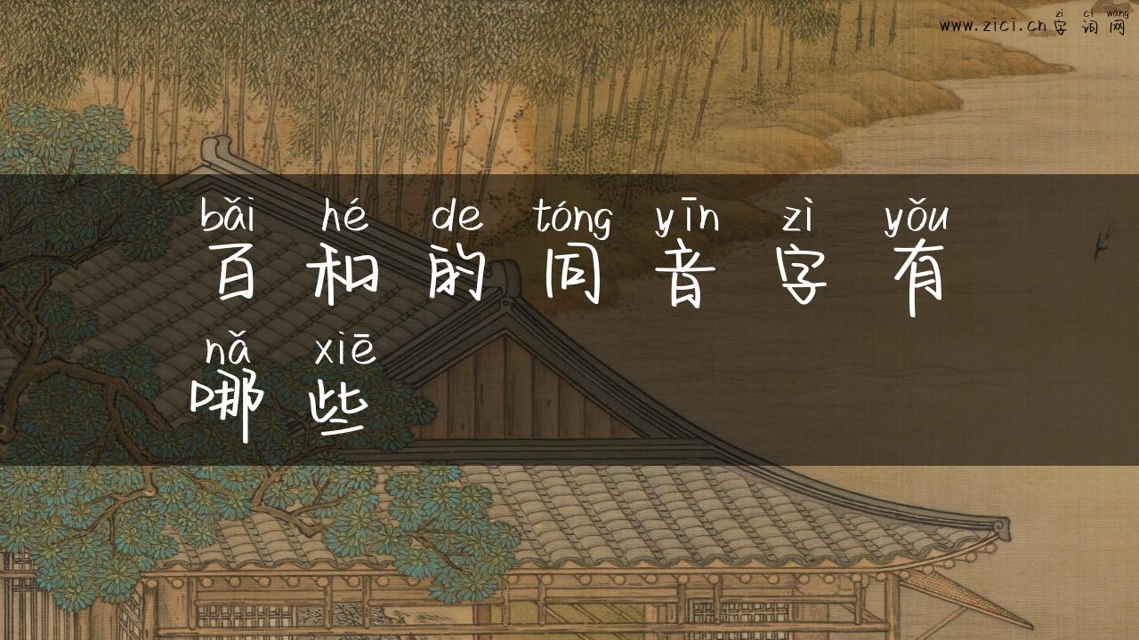 百和的同音字有哪些