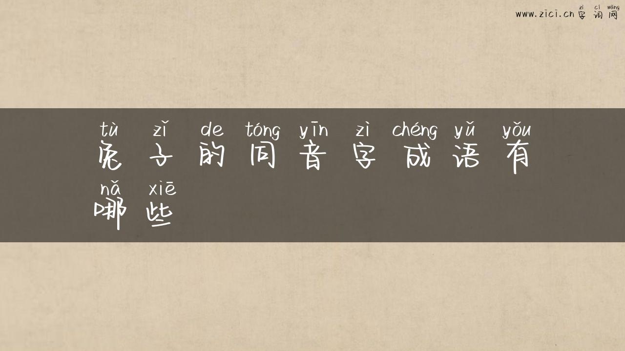 兔子的同音字成语有哪些