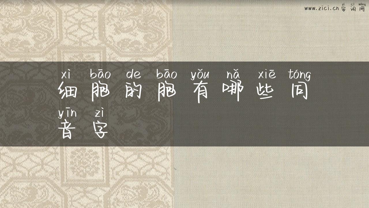 细胞的胞有哪些同音字