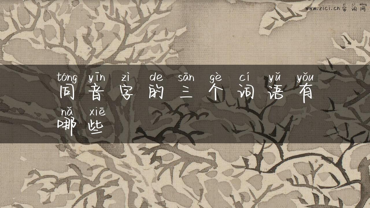 同音字的三个词语有哪些
