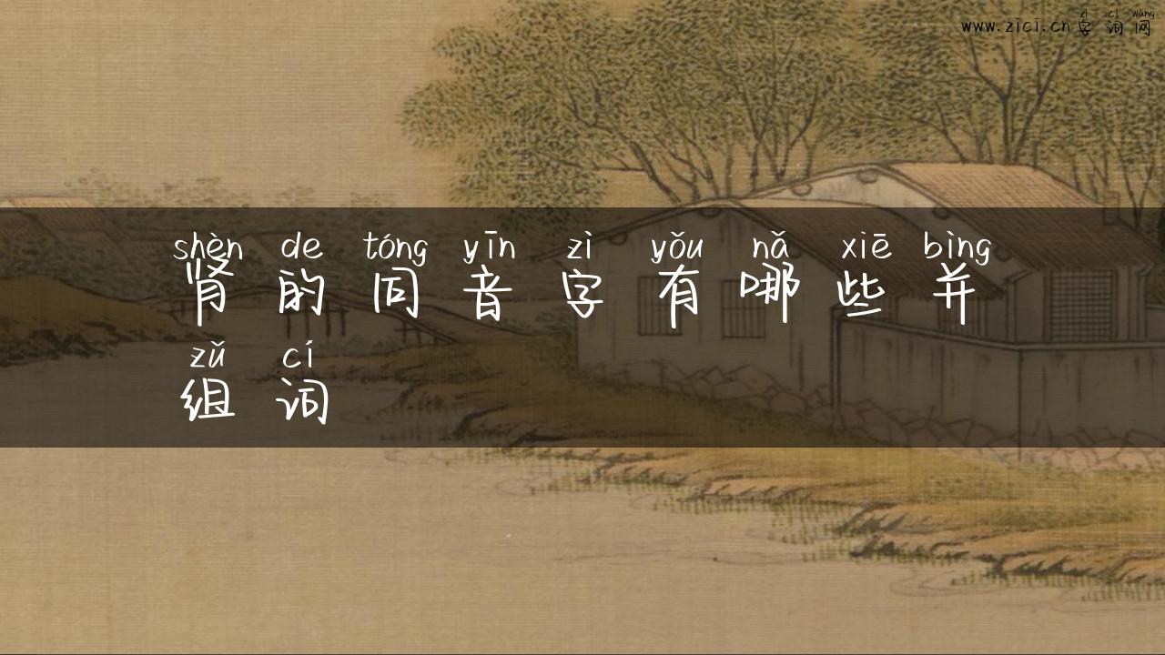 肾的同音字有哪些并组词