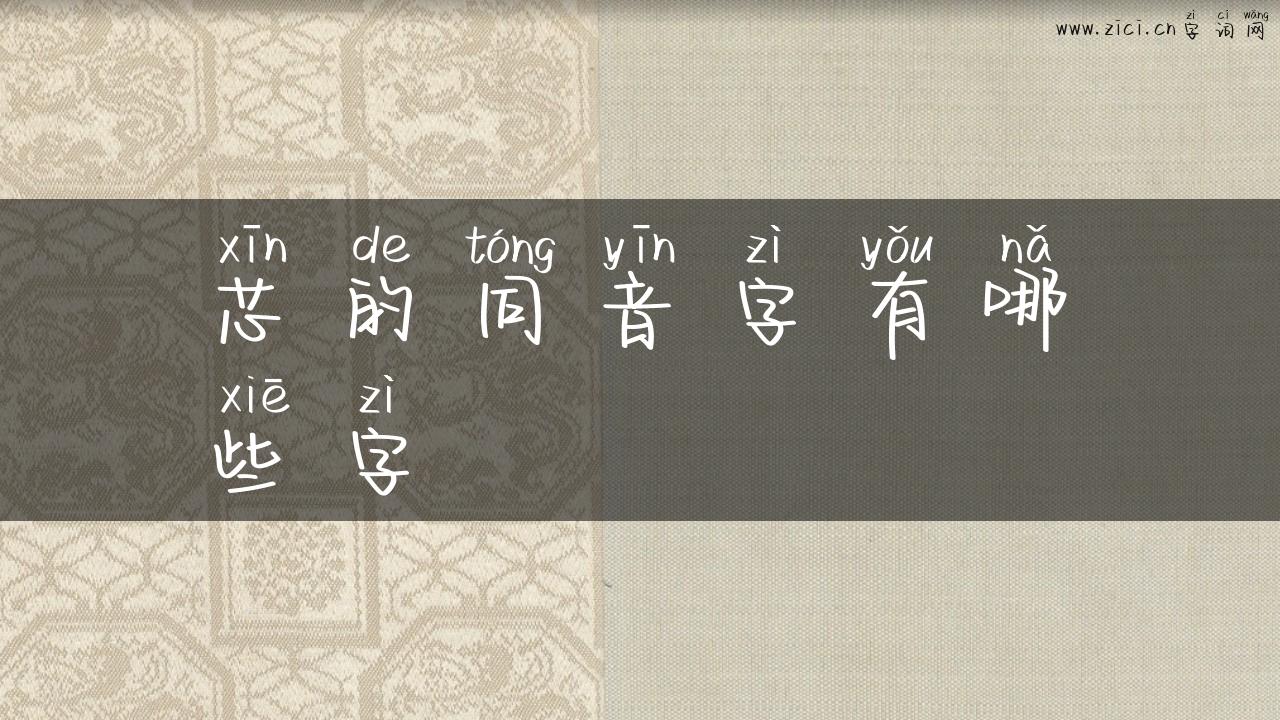 芯的同音字有哪些字