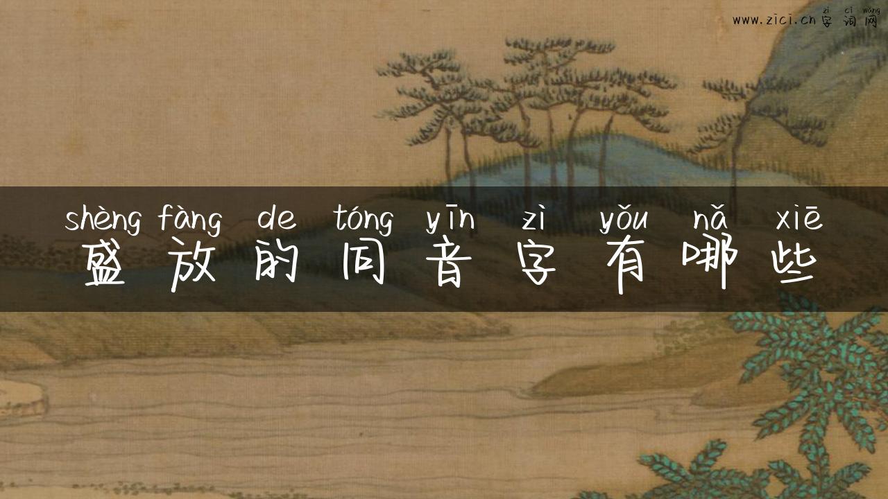 盛放的同音字有哪些