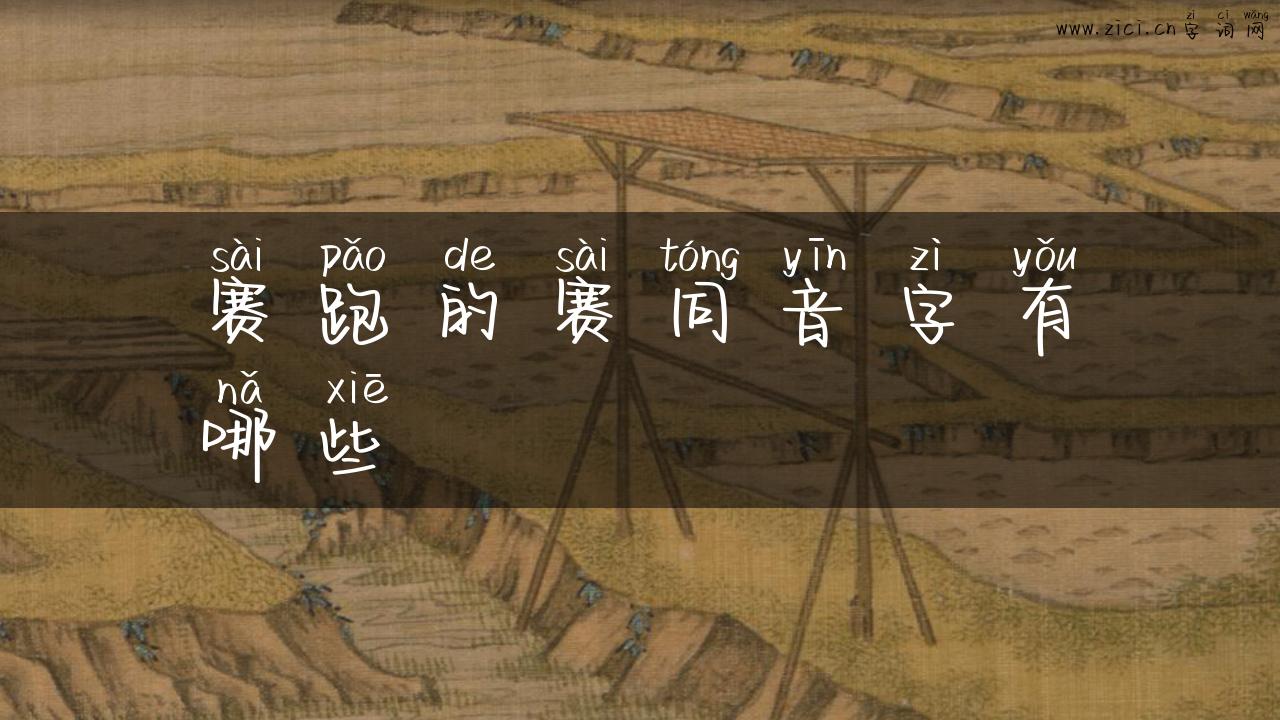 赛跑的赛同音字有哪些