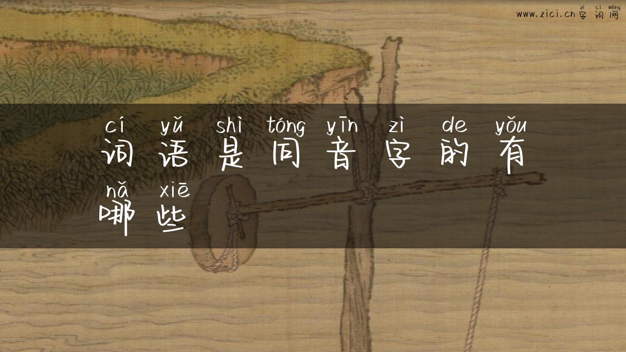 词语是同音字的有哪些