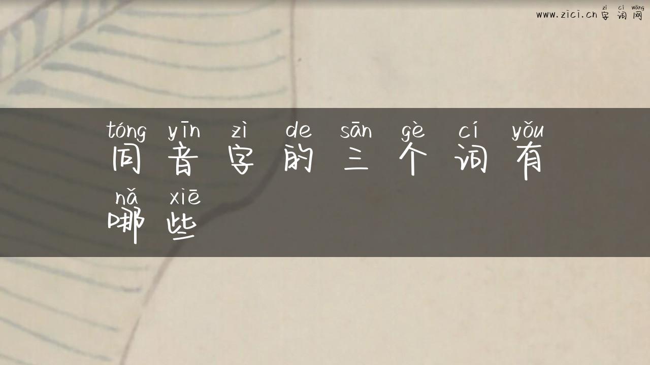 同音字的三个词有哪些