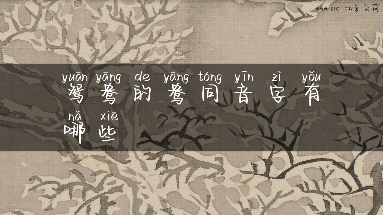 鸳鸯的鸯同音字有哪些