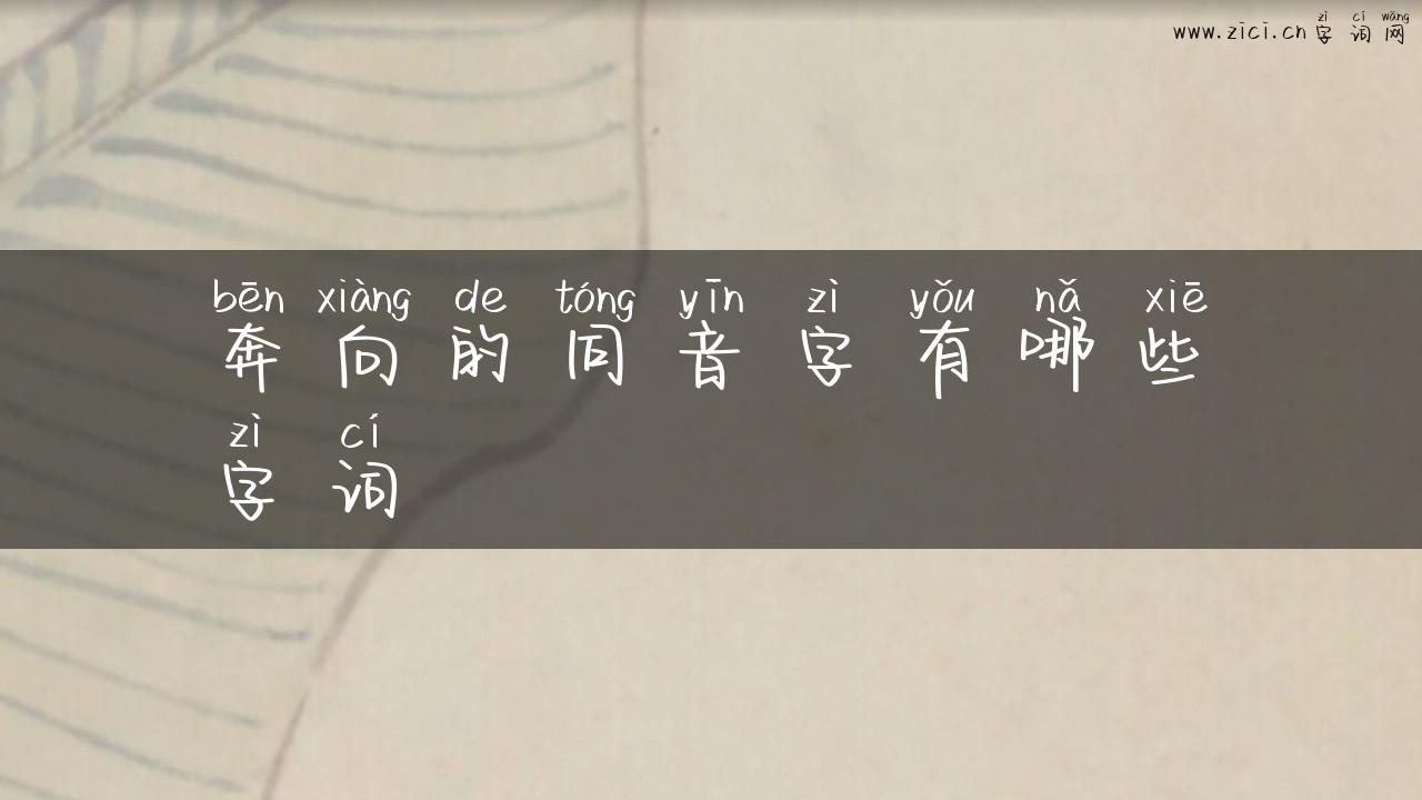 奔向的同音字有哪些字词