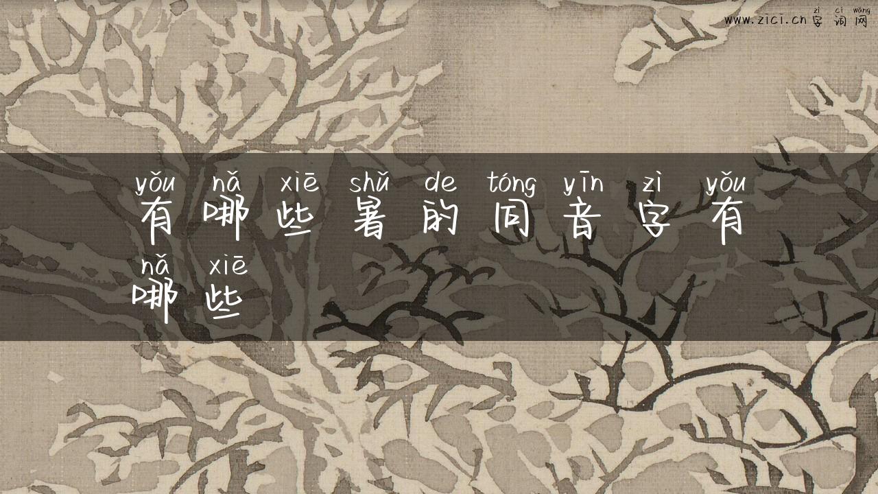 有哪些暑的同音字有哪些