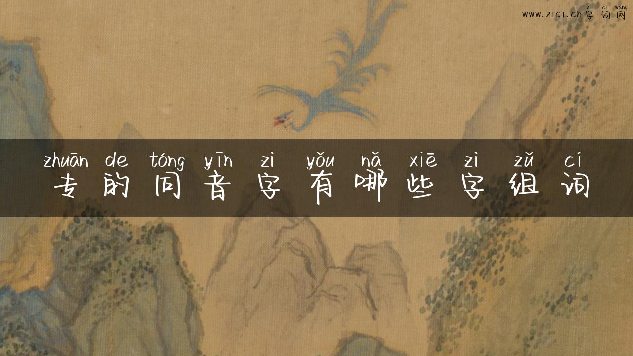 专的同音字有哪些字组词