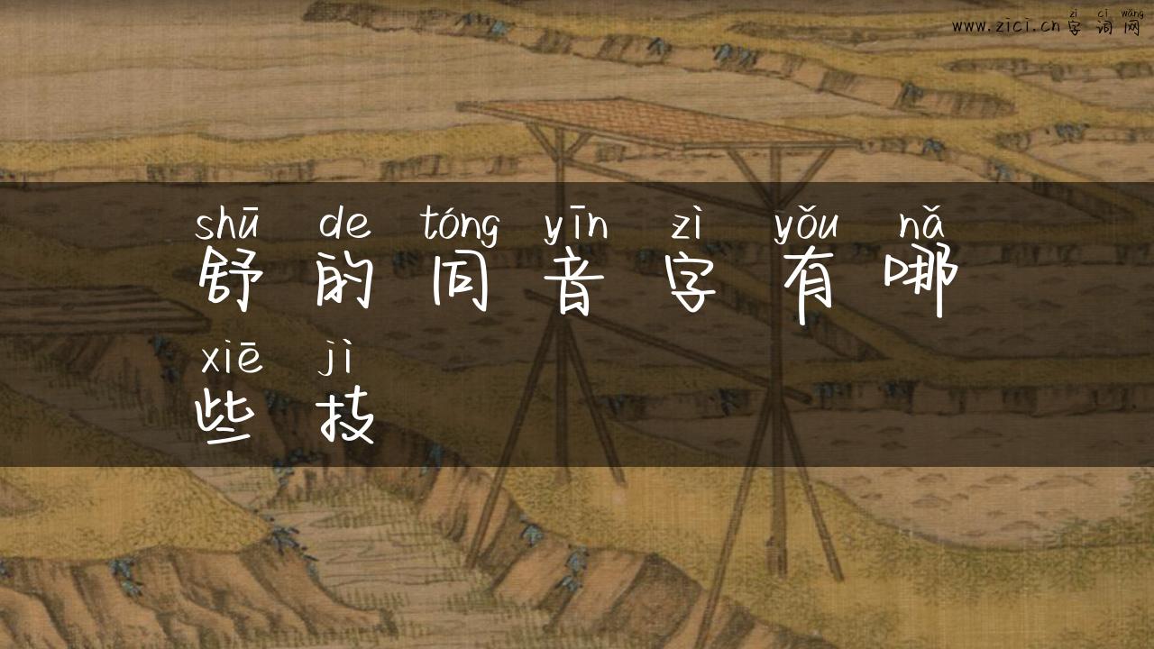舒的同音字有哪些技