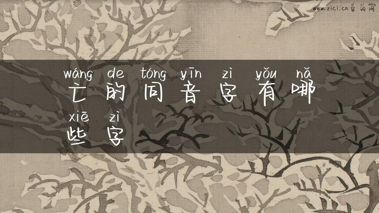 亡的同音字有哪些字