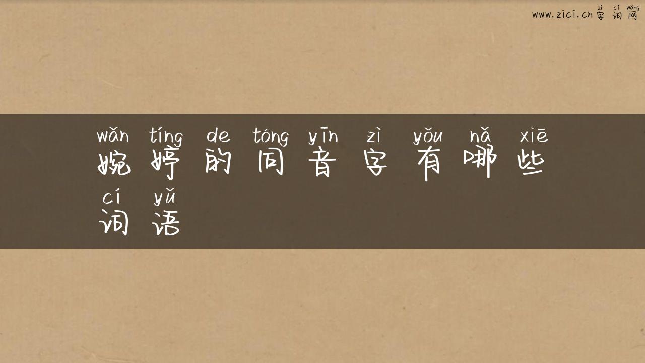婉婷的同音字有哪些词语