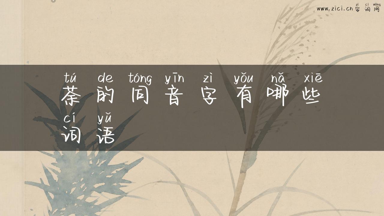 荼的同音字有哪些词语