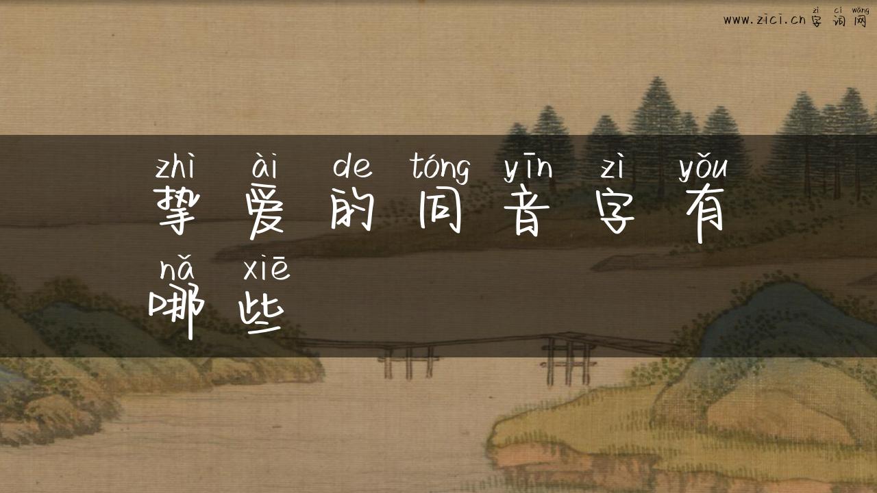挚爱的同音字有哪些