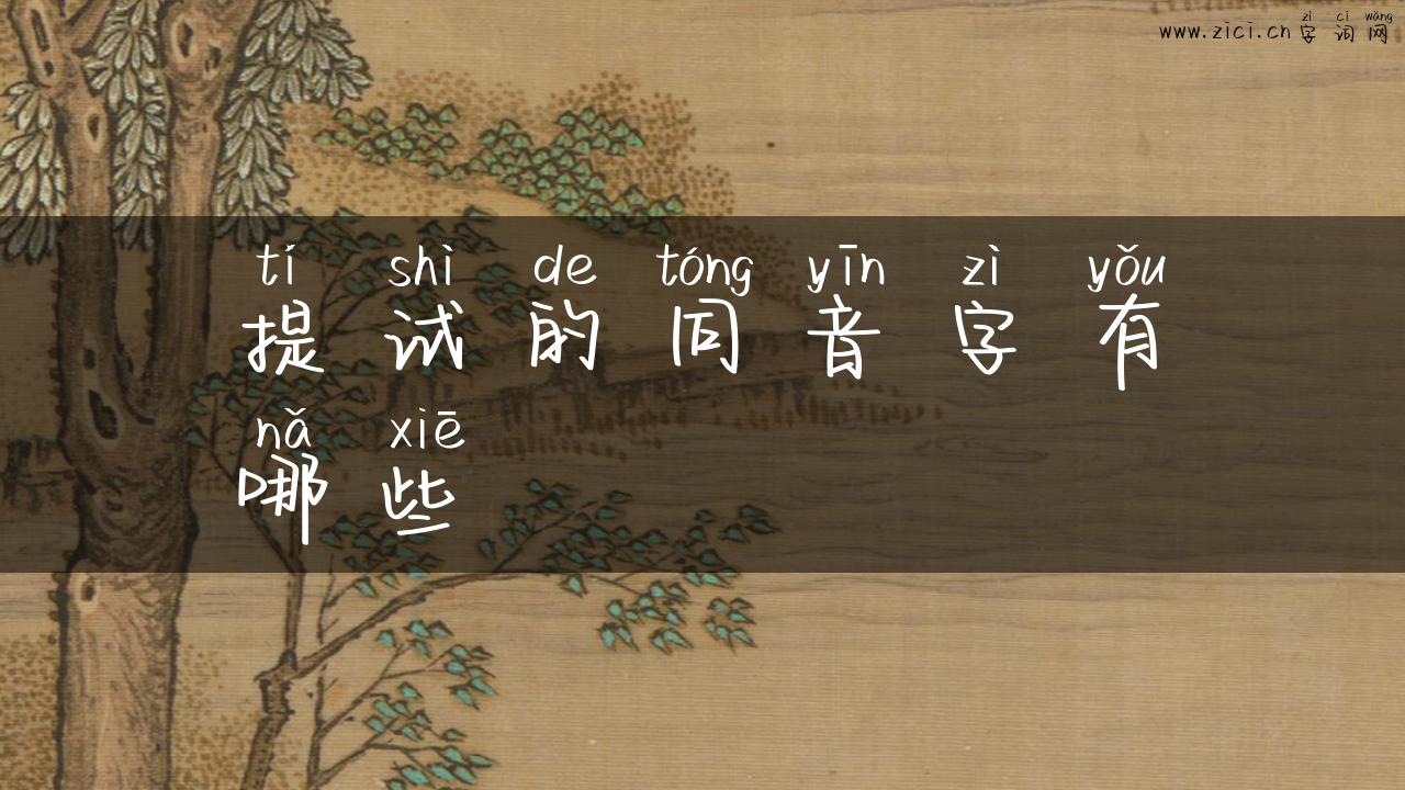 提试的同音字有哪些