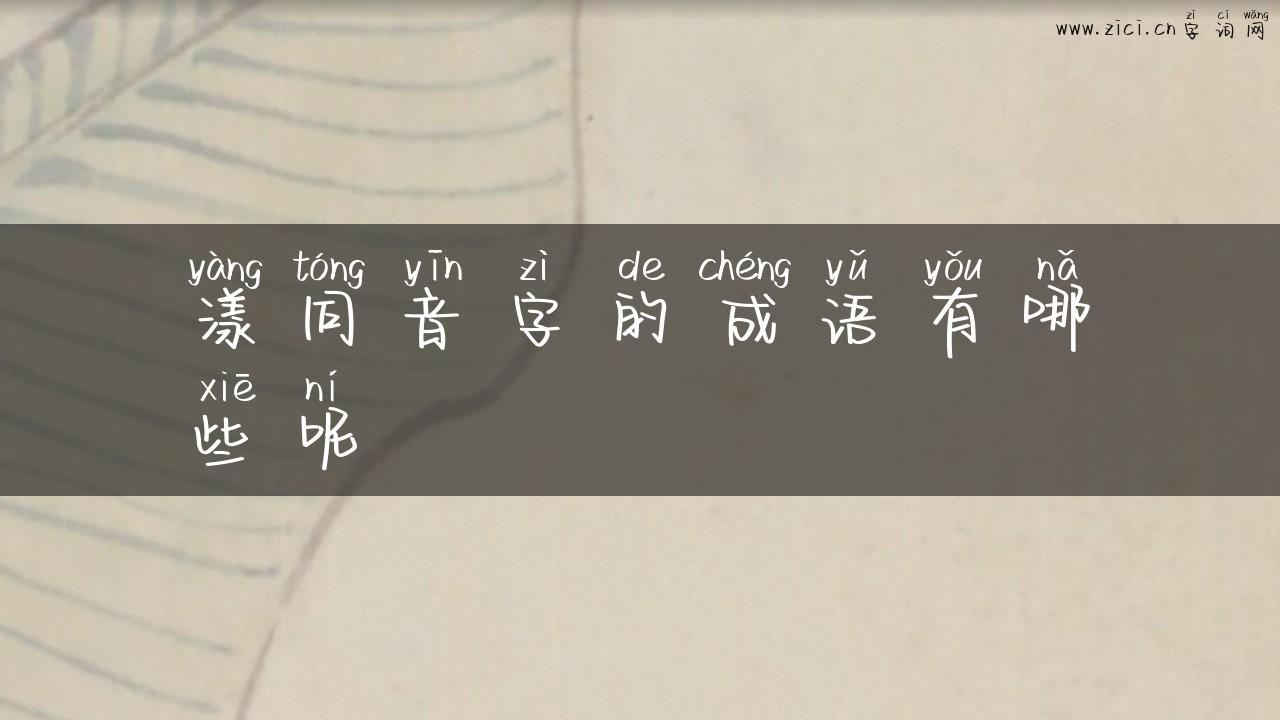 漾同音字的成语有哪些呢