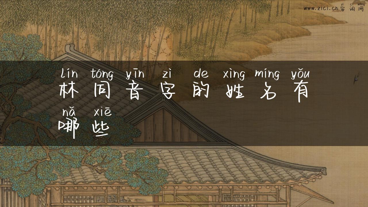林同音字的姓名有哪些