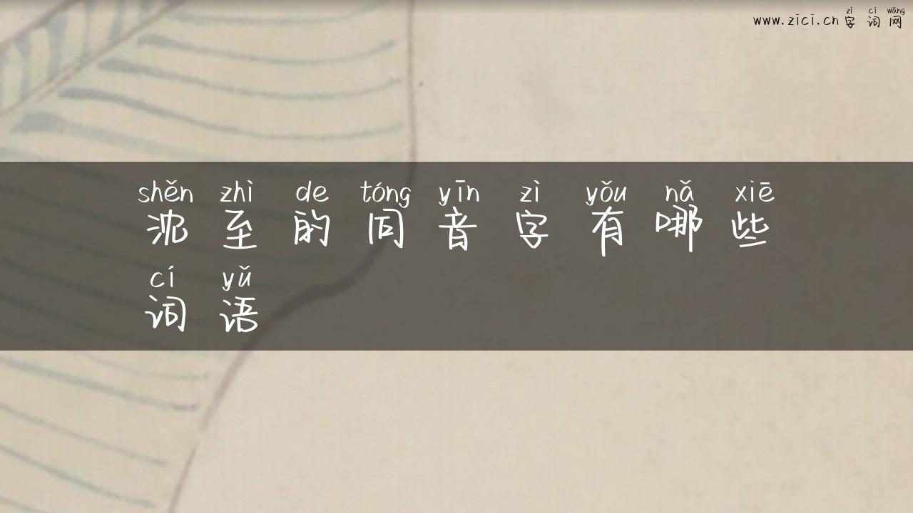 沈至的同音字有哪些词语