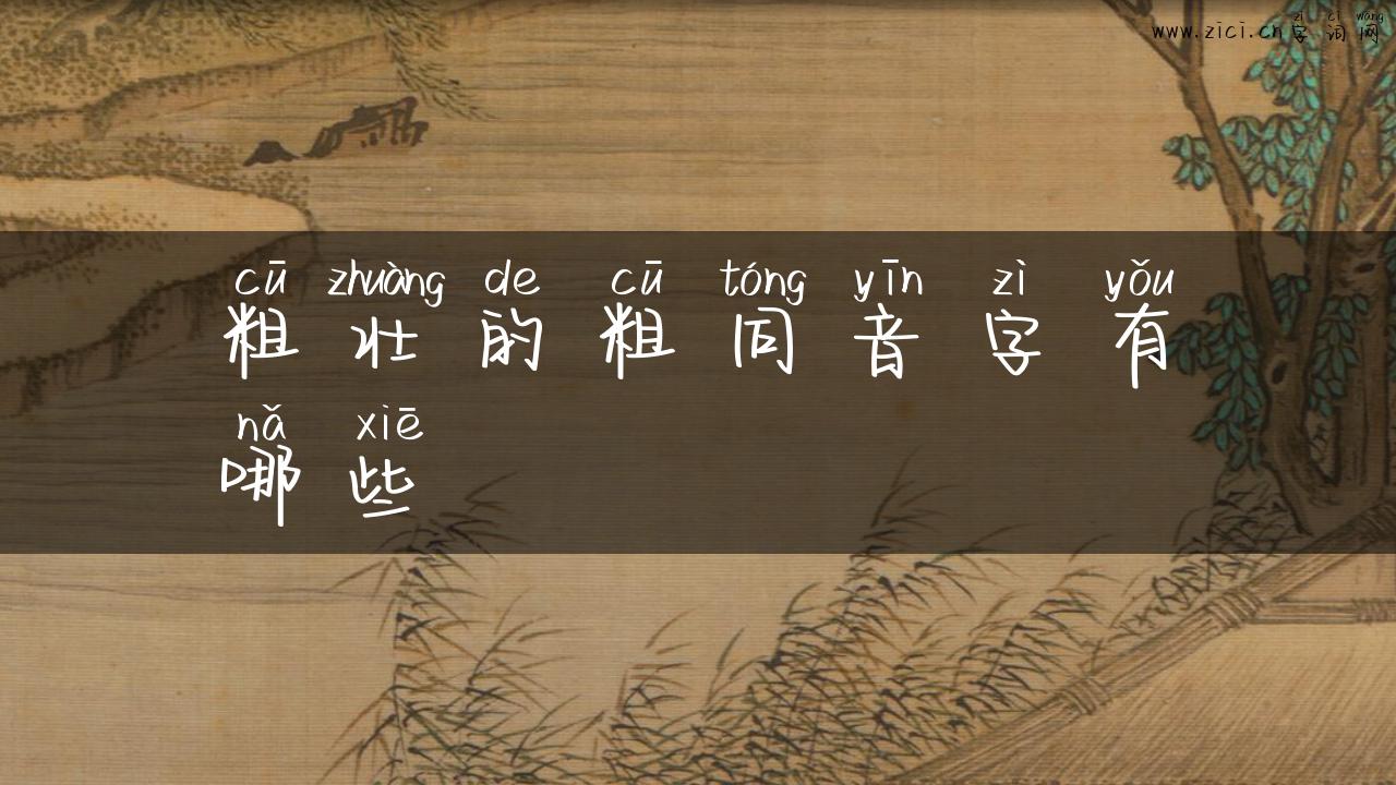 粗壮的粗同音字有哪些